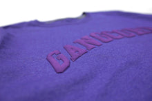 Load image into Gallery viewer, GangCorp &quot;Collegiate&quot; Lavender &amp; Purple T-shirt
